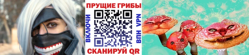 магазин продажи наркотиков Ардон гидра ссылки Галлюциногенные грибы Psilocybe